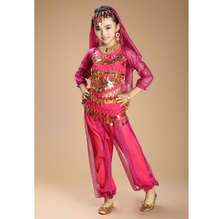 New Children Belly Dance Costumes kids belly dance 4pcs(top+pants+waist chain+veil) indian \girls belly dance costume 3307
