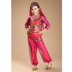 New Children Belly Dance Costumes kids belly dance 4pcs(top+pants+waist chain+veil) indian \girls belly dance costume 3307