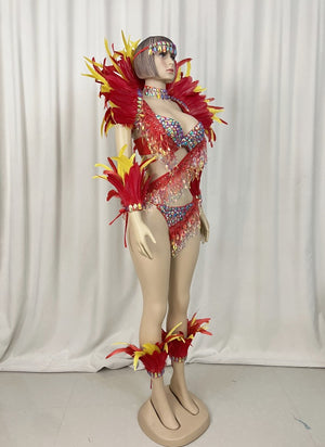 Samba Carnival  Bra And Panty With Feather Hand Beads Passista Pageant Cabaret Broadway Theater Mrdi Gras,Vegas Showgirl CF052