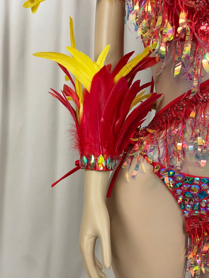 Samba Carnival  Bra And Panty With Feather Hand Beads Passista Pageant Cabaret Broadway Theater Mrdi Gras,Vegas Showgirl CF052