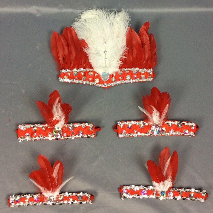 hot selling free shipping feathers head & arm & leg piece for samba dress carnival dress 5 pcs/set