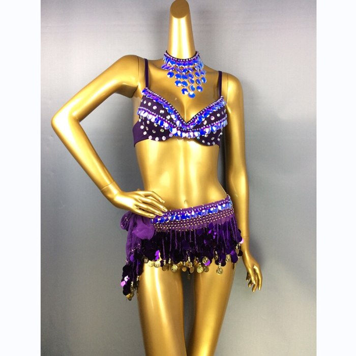 New Sexy Samba Belly Dance Costume for Women Hand Beaded sequins purple Color Bra and Scarf Necklace 3 pieces