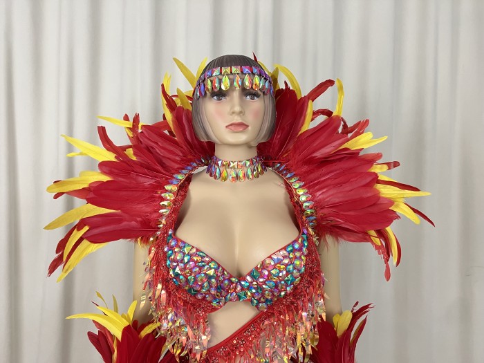 Samba Carnival  Bra And Panty With Feather Hand Beads Passista Pageant Cabaret Broadway Theater Mrdi Gras,Vegas Showgirl CF052