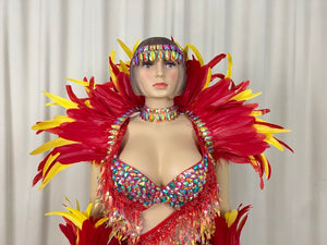 Samba Carnival  Bra And Panty With Feather Hand Beads Passista Pageant Cabaret Broadway Theater Mrdi Gras,Vegas Showgirl CF052