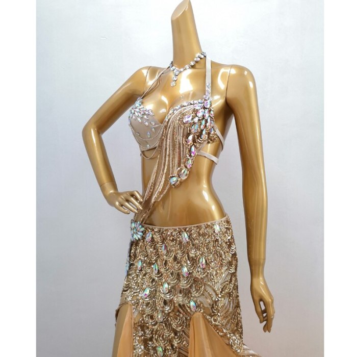 New Adult Women Stage Performance gorgeous Belly Dance Costume Bra Skirt 3Piece Set Handmade Beaded Performance Show Suit outfit  TF1903  (3PCS/SET ）