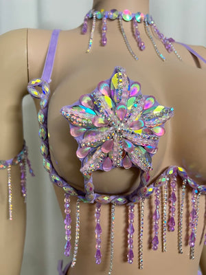 New Handmade Top Quality Samba Rio Carnival Wire Bra+Panty With Stone Sexy Belly Dancing Costume