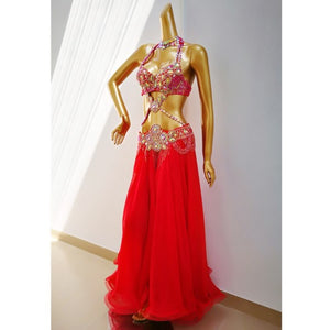 Top quality New women belly dance costume set showgirl belly dancing clothes EDC halloween bellydance bra&belt&skirt 4pcs suit TF1732 + SK1905