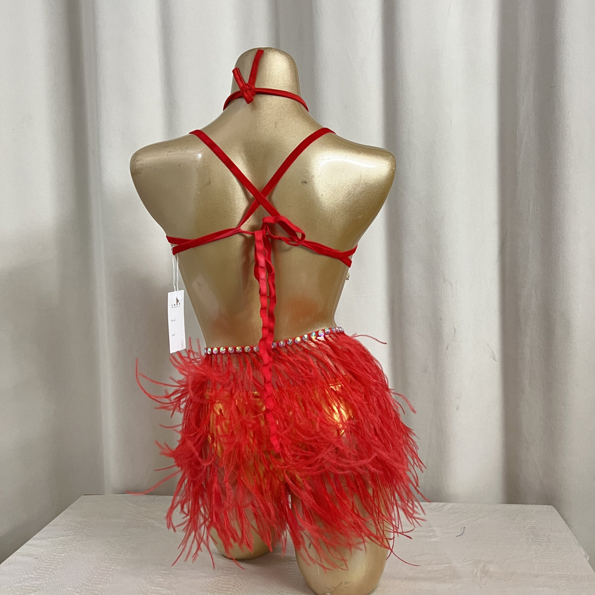 New Style Handmade Samba Carnival Wire Bra,Pants And Ostrich Feather Mini Skirt With Stones For EDC Festival Rave Carnival Red Color