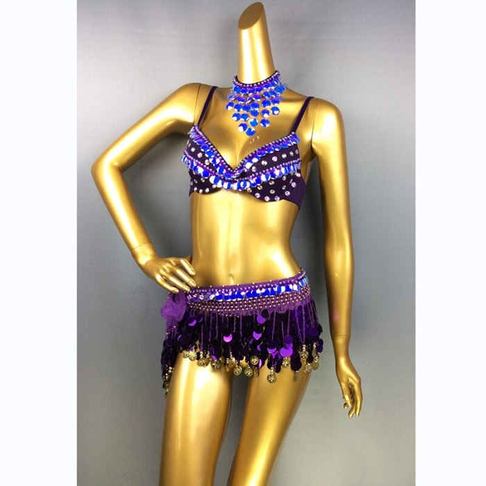 New Sexy Samba Belly Dance Costume for Women Hand Beaded sequins purple Color Bra and Scarf Necklace 3 pieces