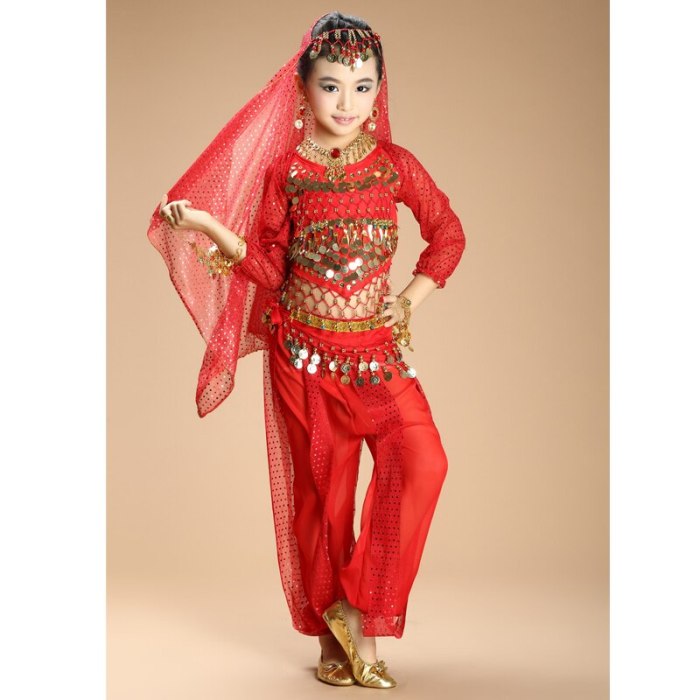 New Children Belly Dance Costumes kids belly dance 4pcs(top+pants+waist chain+veil) indian \girls belly dance costume 3307
