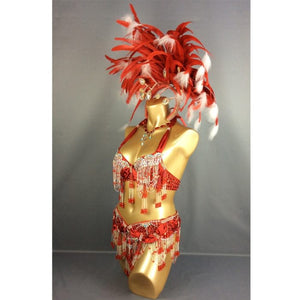 HOT SALEING parade Sexy Samba Rio Carnival Costume Feather Headdress #C1356