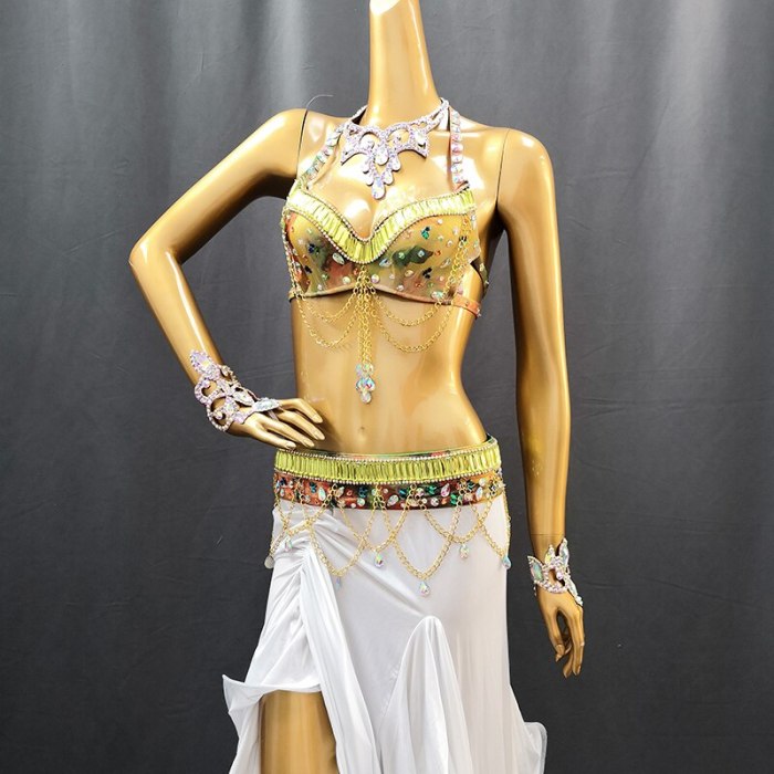 New Style Women's Belly Dance Costume Wear Belly Dance Clothes Sexy Suit Night Belly Dancing Costume 3pcs Set TF1623-1