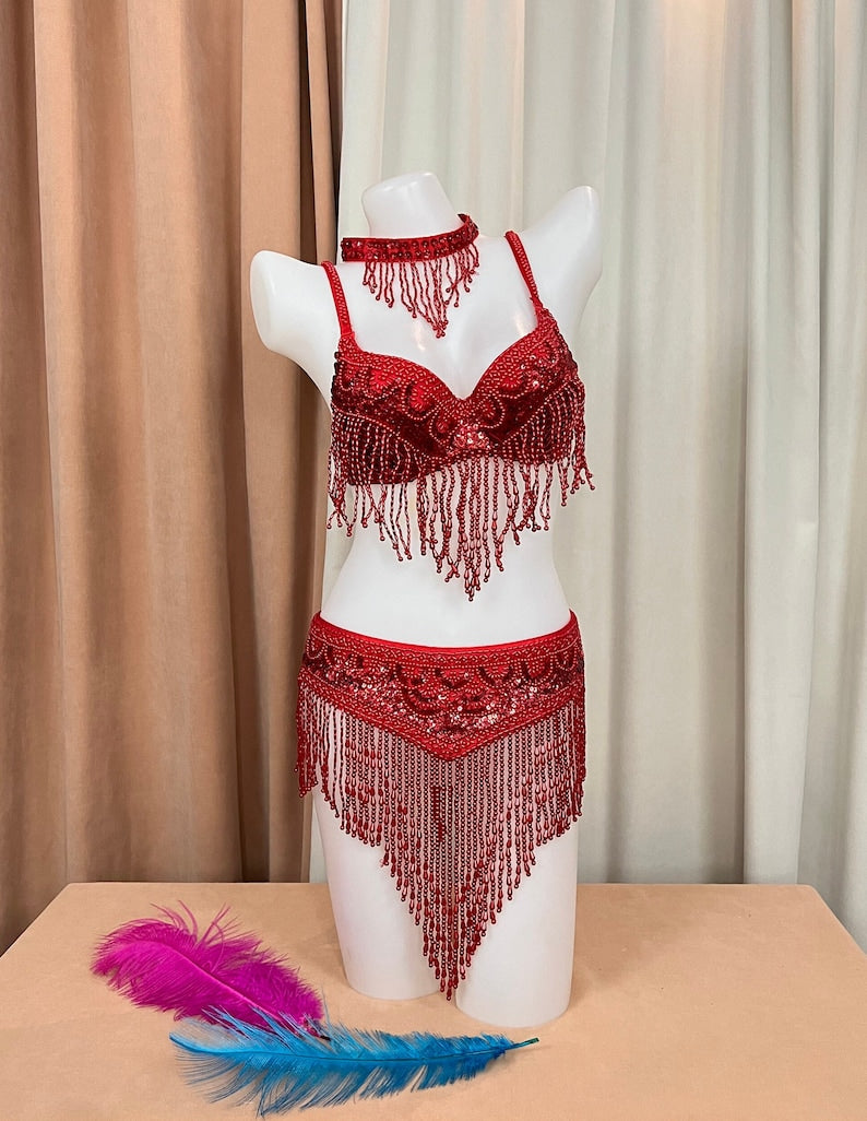 Women's Silver Sequin Beaded Fringe Belly Dance Bra Top and Skirt Set, Choker Necklace Included