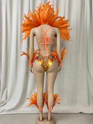 Carnival Dance Costume, Women's Orange Feathered Sequin Rhinestone Samba Mardi Gras Performance Wear