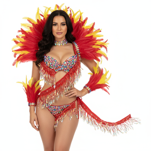 Samba Carnival  Bra And Panty With Feather Hand Beads Passista Pageant Cabaret Broadway Theater Mrdi Gras,Vegas Showgirl CF052